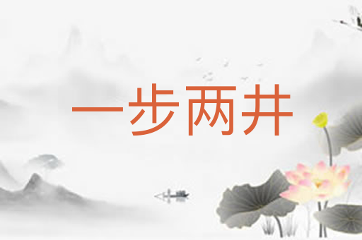 一步两井
