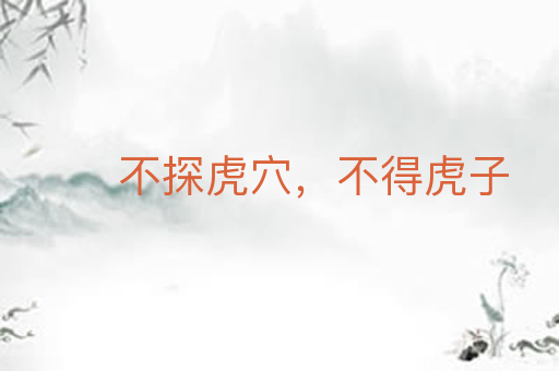 不探虎穴,不得虎子