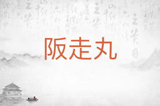阪走丸