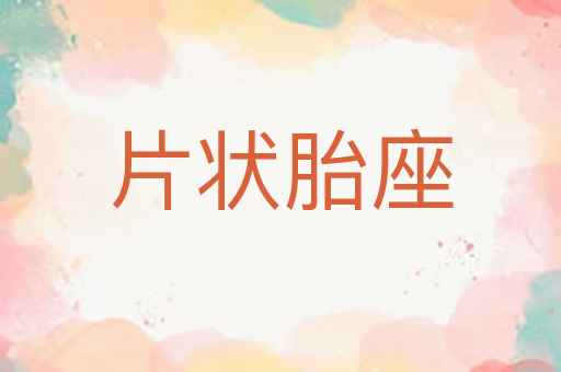 片状胎座