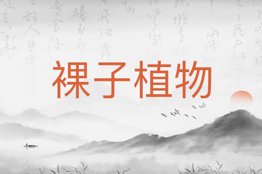 裸子植物