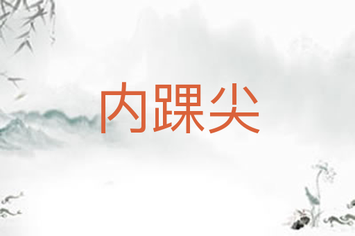 内踝尖