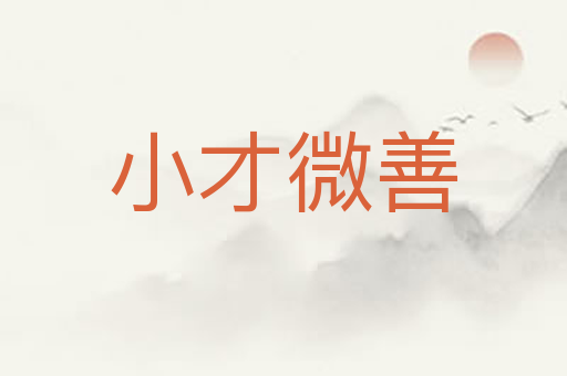 小才微善