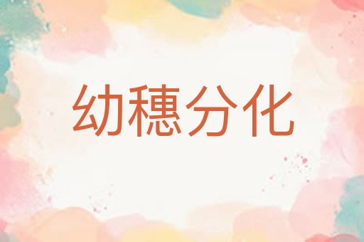幼穗分化