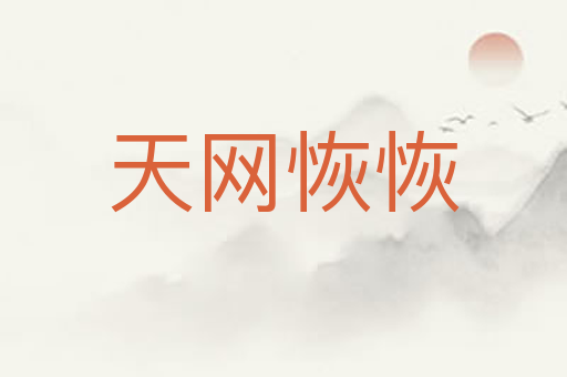 天网恢恢
