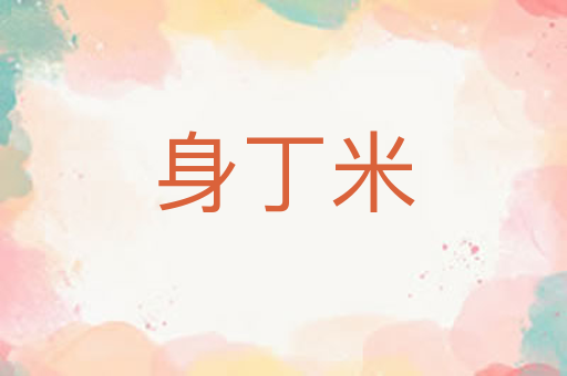 身丁米