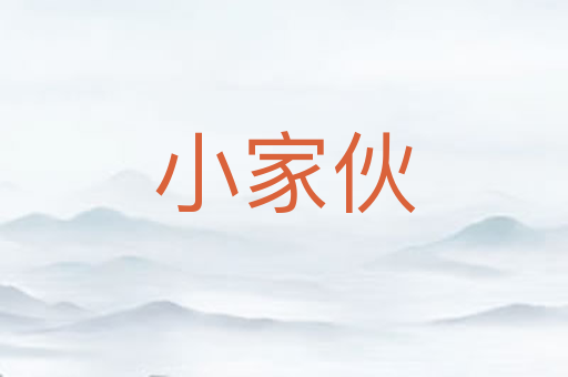 小家伙