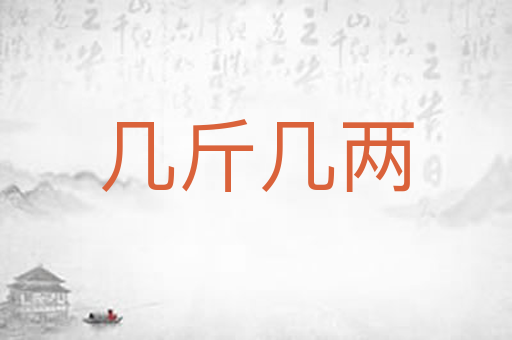几斤几两