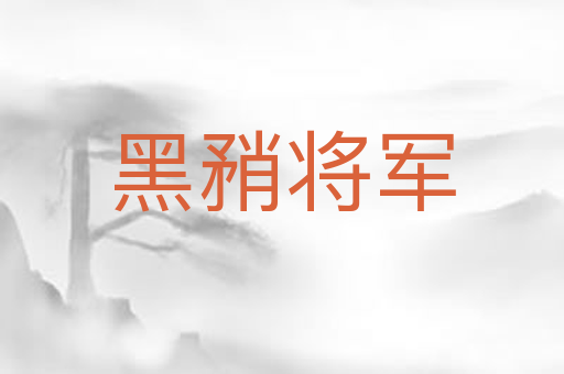 黑矟将军