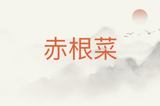 赤根菜