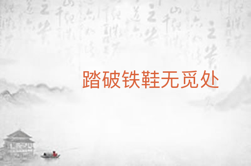 踏破铁鞋无觅处