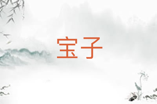 宝子