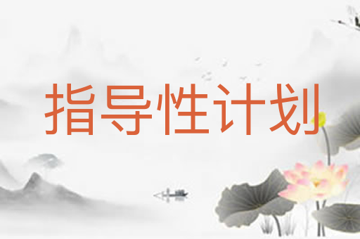 指导性计划