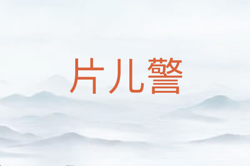 片儿警