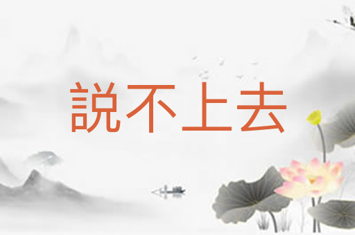 説不上去