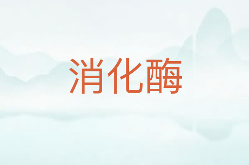 消化酶