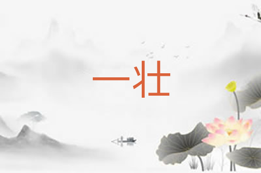 一壮