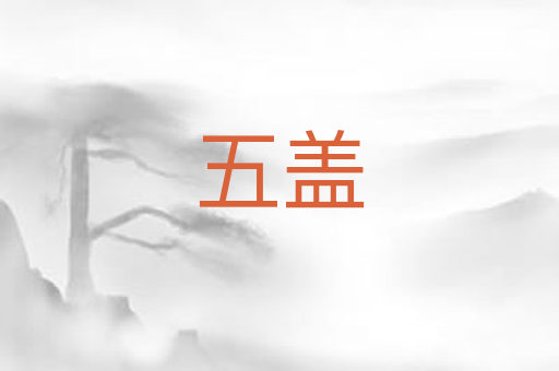 五盖