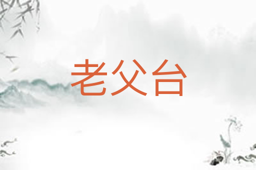 老父台