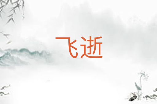 飞逝