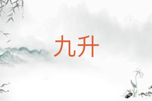 九升
