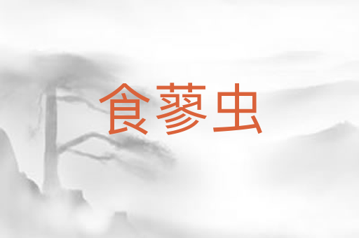 食蓼虫