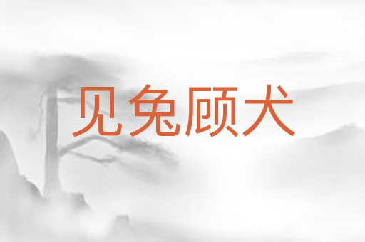 见兔顾犬