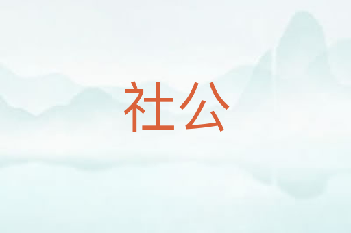 社公
