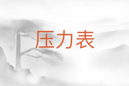 压力表