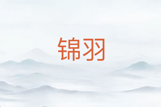 锦羽