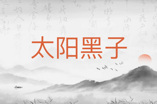 太阳黑子