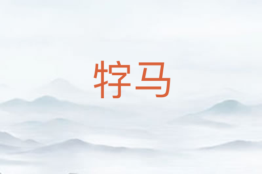 牸马
