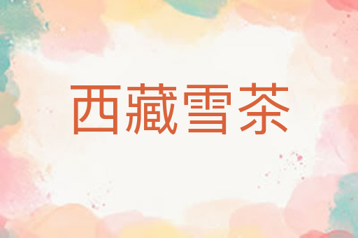 西藏雪茶
