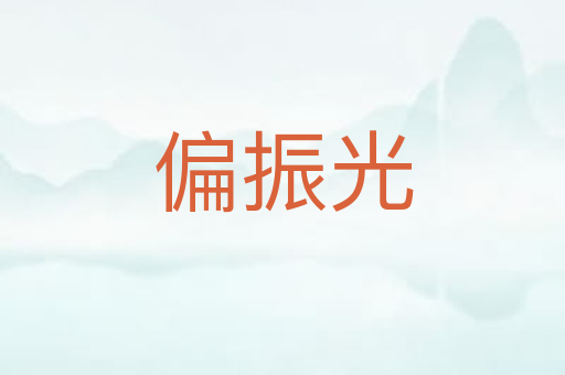 偏振光