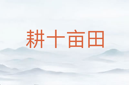 耕十亩田