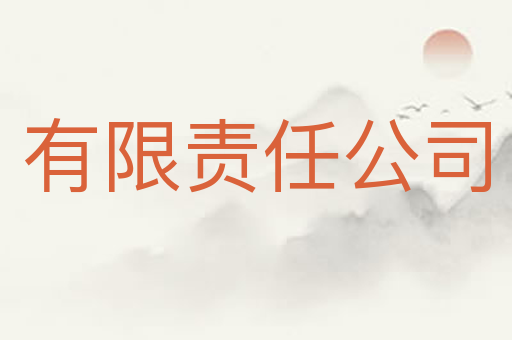 有限责任公司