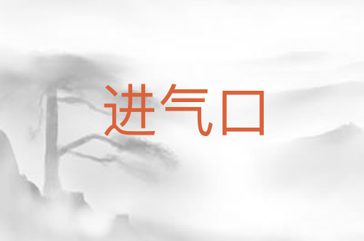 进气口