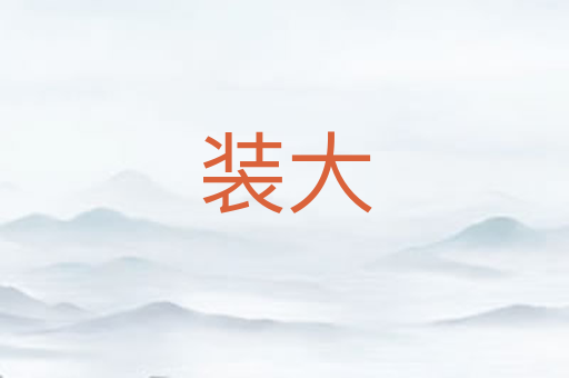 装大