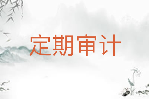 定期审计