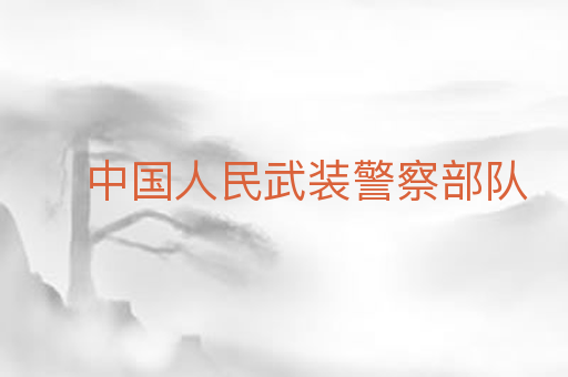 中国人民武装警察部队