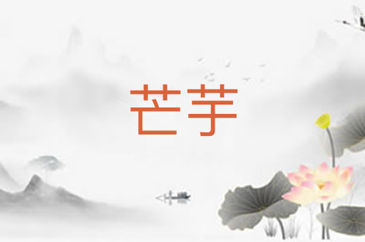 芒芋