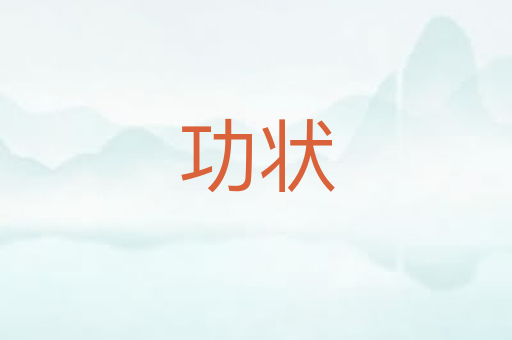 功状
