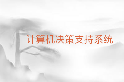 计算机决策支持系统