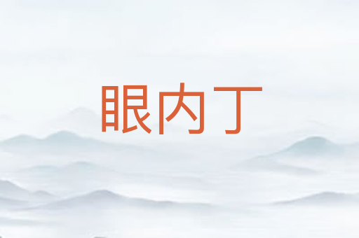 眼内丁