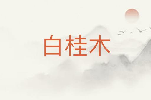 白桂木