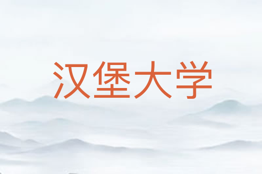 汉堡大学