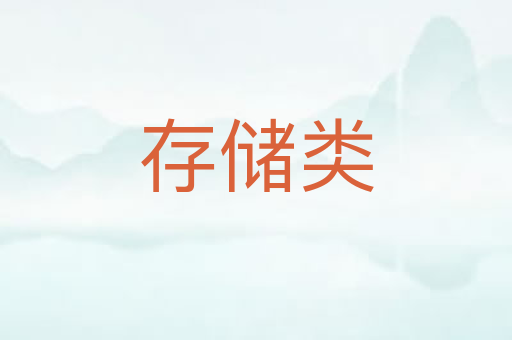 存储类