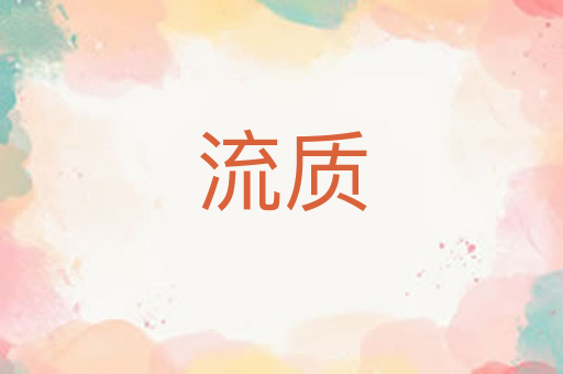 流质