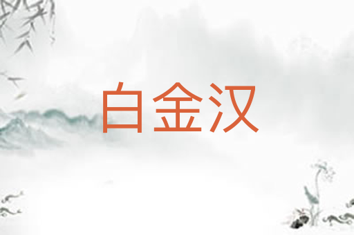 白金汉