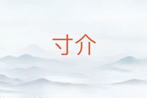 寸介
